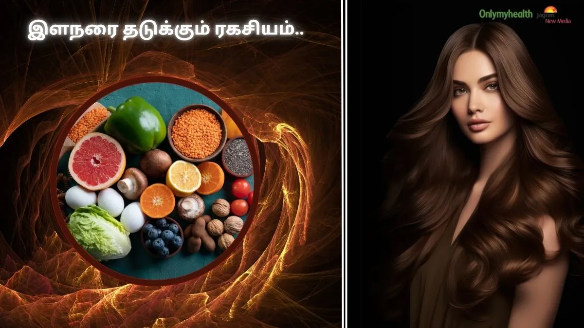 Melanin Rich Foods: இளநரை தடுக்கும் ரகசியம்.. இந்த உணவுகள் தான் மெல்லனின் ஹீரோக்கள்!