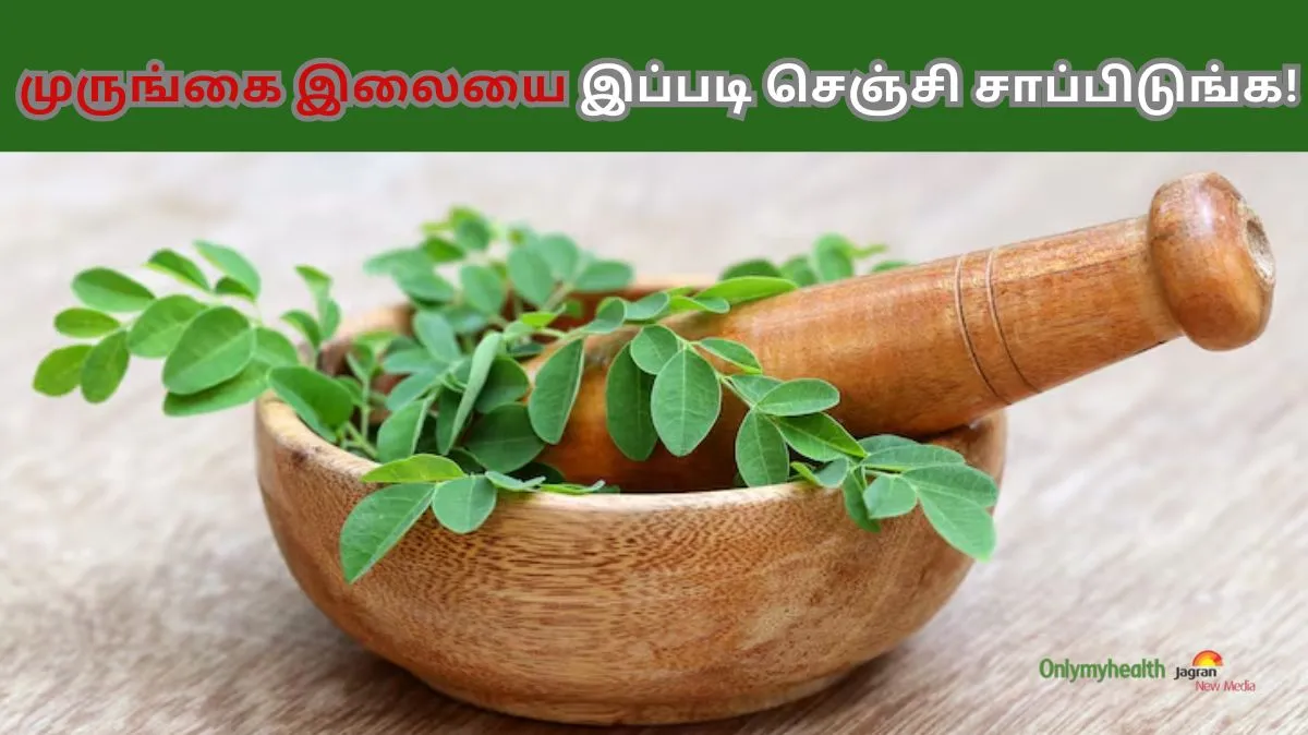 முருங்கை இலையை சமையலில் இந்த வழிகளில் பயன்படுத்துங்கள்.. பல நன்மைகள் கிடைக்கும்..