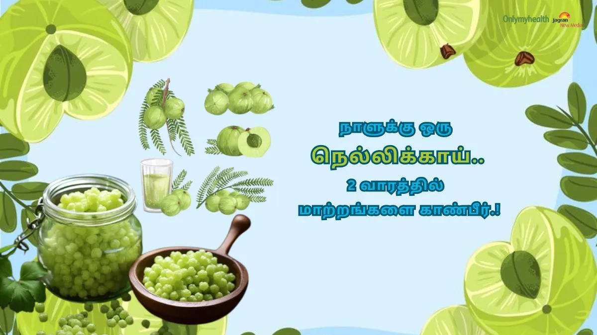 நெல்லிக்காயில் மறைந்துள்ள சூப்பர் பவர்.. 2 வாரத்தில் உங்கள் உடலே மாறிடும்.! நிபுணர் பகிர்ந்த உண்மை..