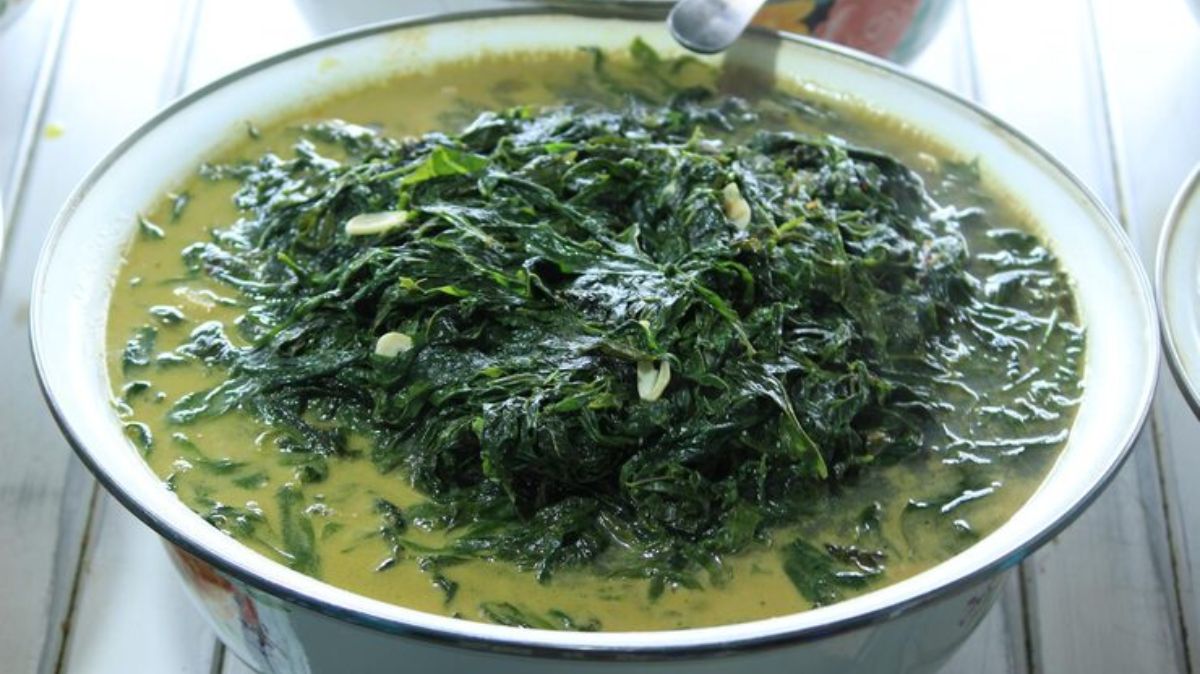 artical  - 2025-08-05T103703.516