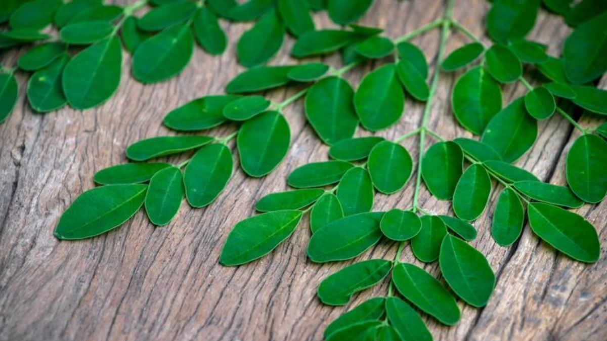 artical  - 2025-08-05T104229.926