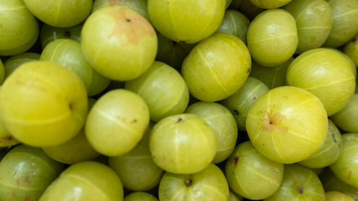 artical - 2025-08-05T135014.871