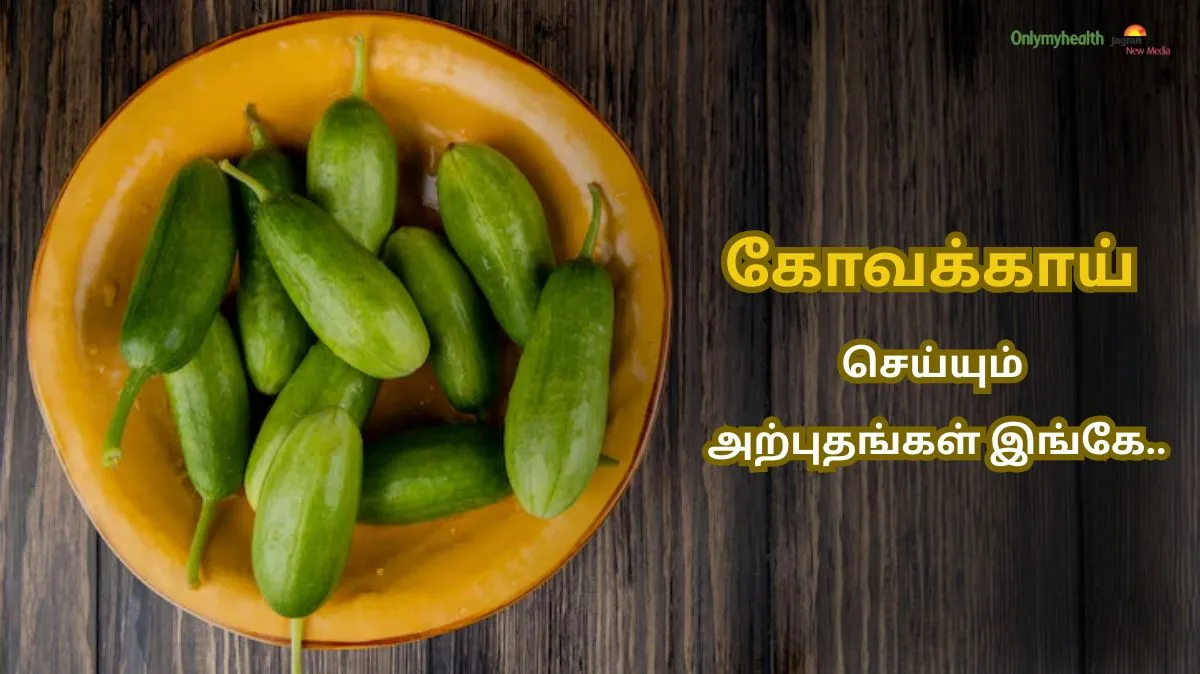 அடிச்சி நவுத்து.! Cancer முதல்.. Weight loss வரை.. கோவக்காய் செய்யும் அற்புதங்கள் இங்கே..