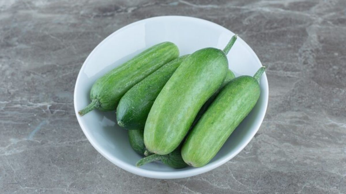 artical  - 2025-08-08T173657.376