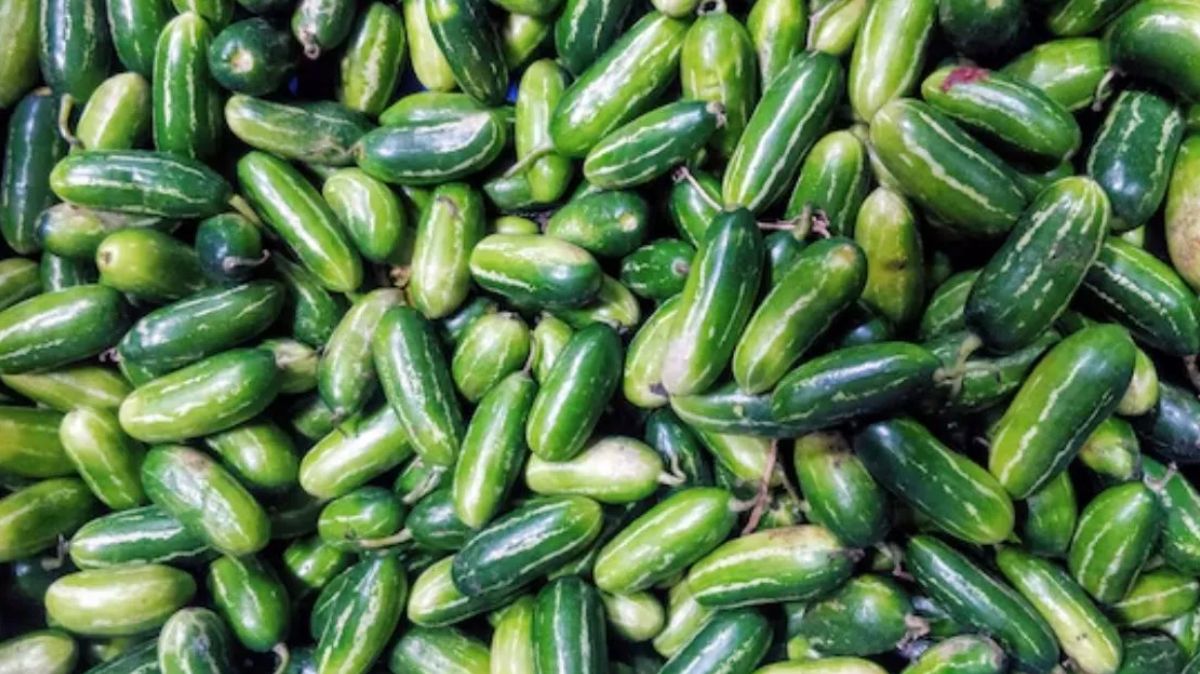 artical  - 2025-08-08T173802.632