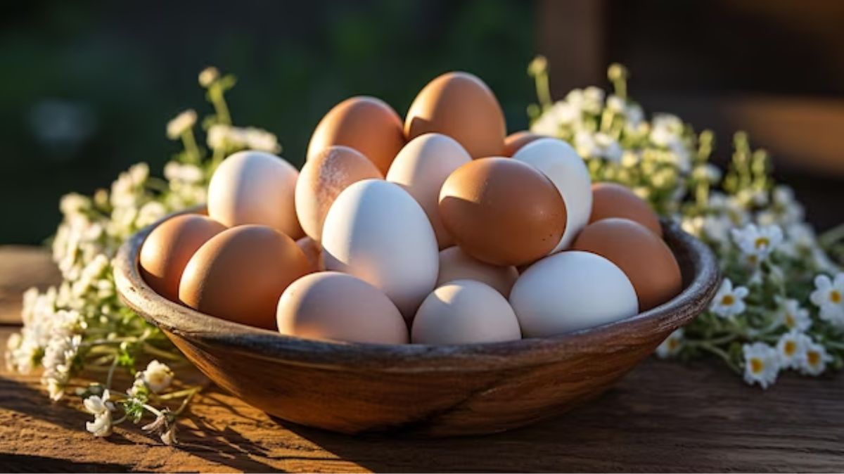 benefits of eggs