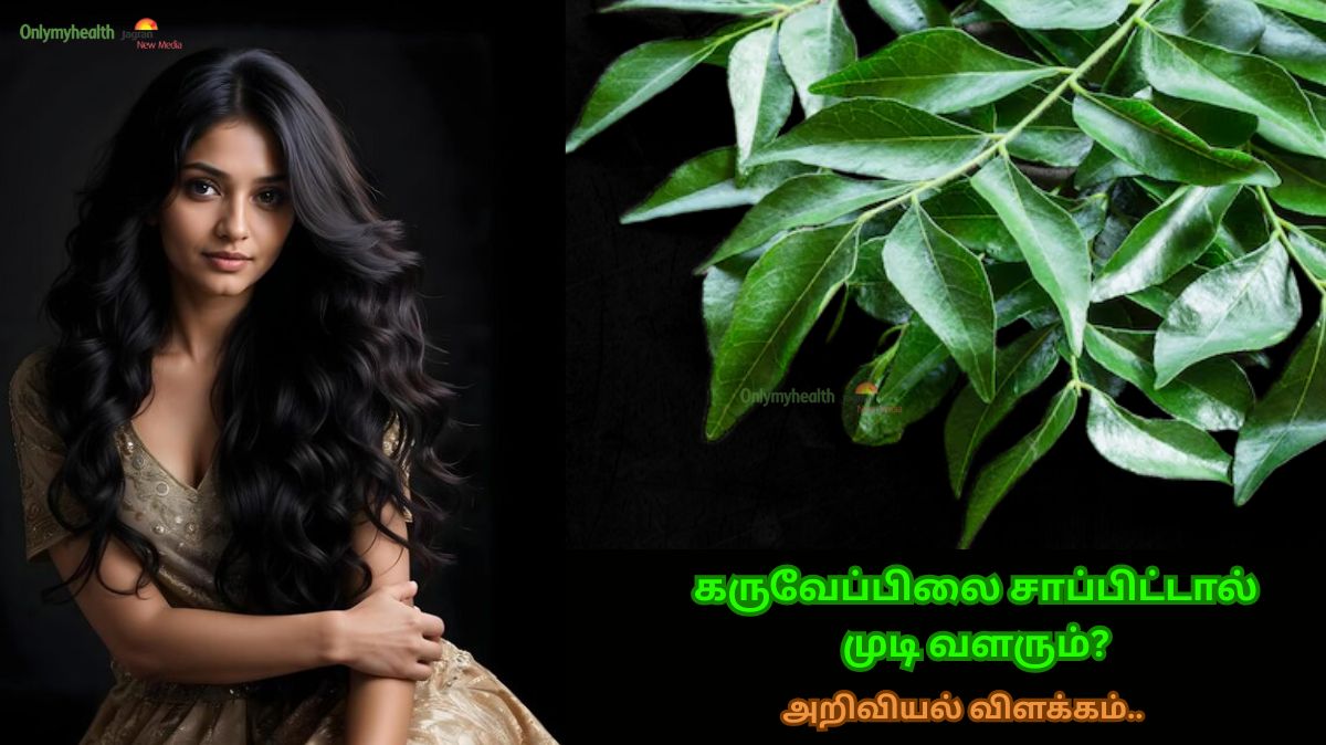 உண்மையிலேயே கருவேப்பிலை சாப்பிட்டால் முடி வளருமா.? விஞ்ஞானம் சொல்வது என்ன? முழு விவரம் இங்கே..