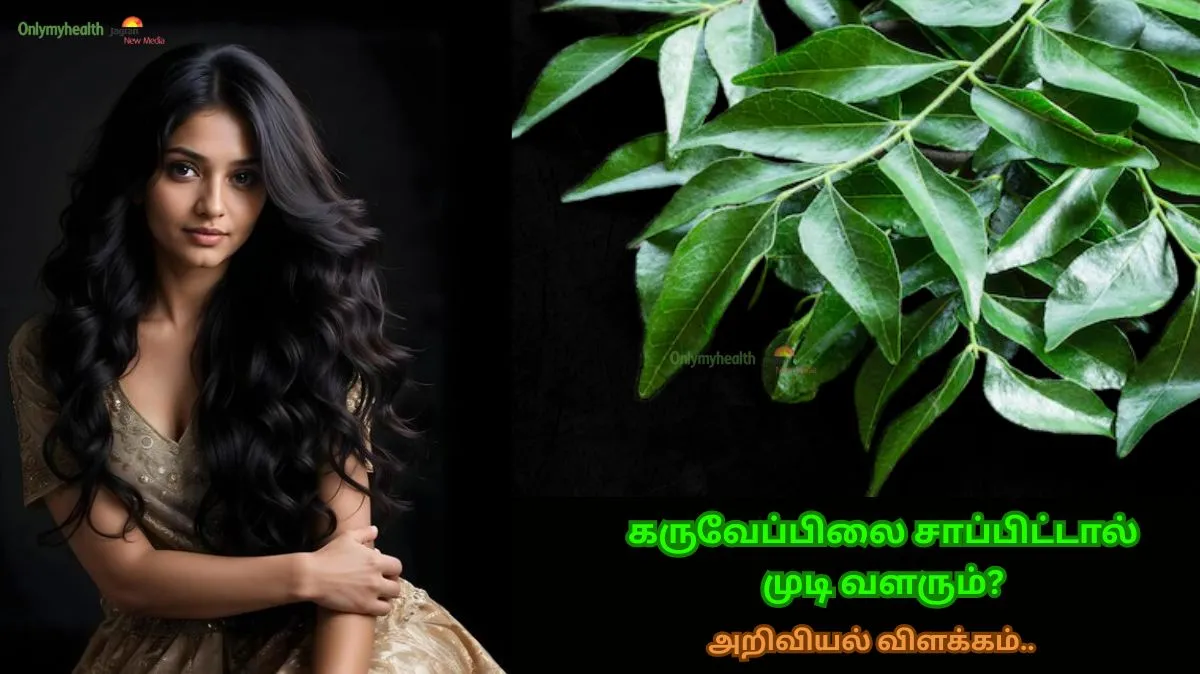 உண்மையிலேயே கருவேப்பிலை சாப்பிட்டால் முடி வளருமா.? விஞ்ஞானம் சொல்வது என்ன? முழு விவரம் இங்கே..