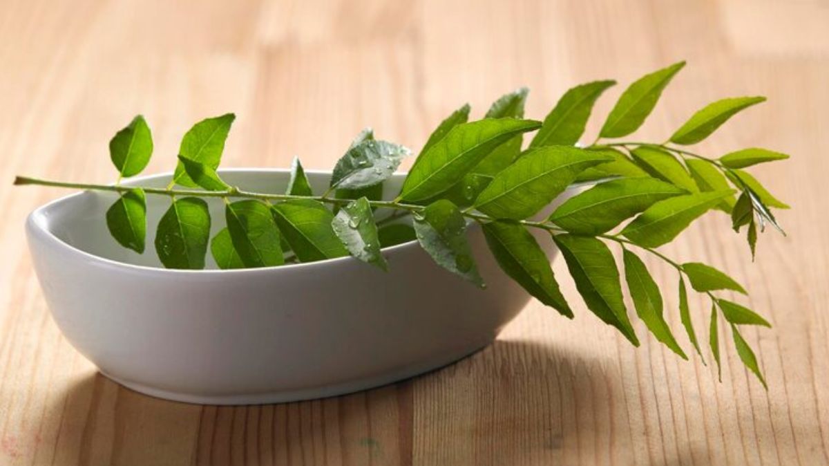 artical  - 2025-08-09T164632.739