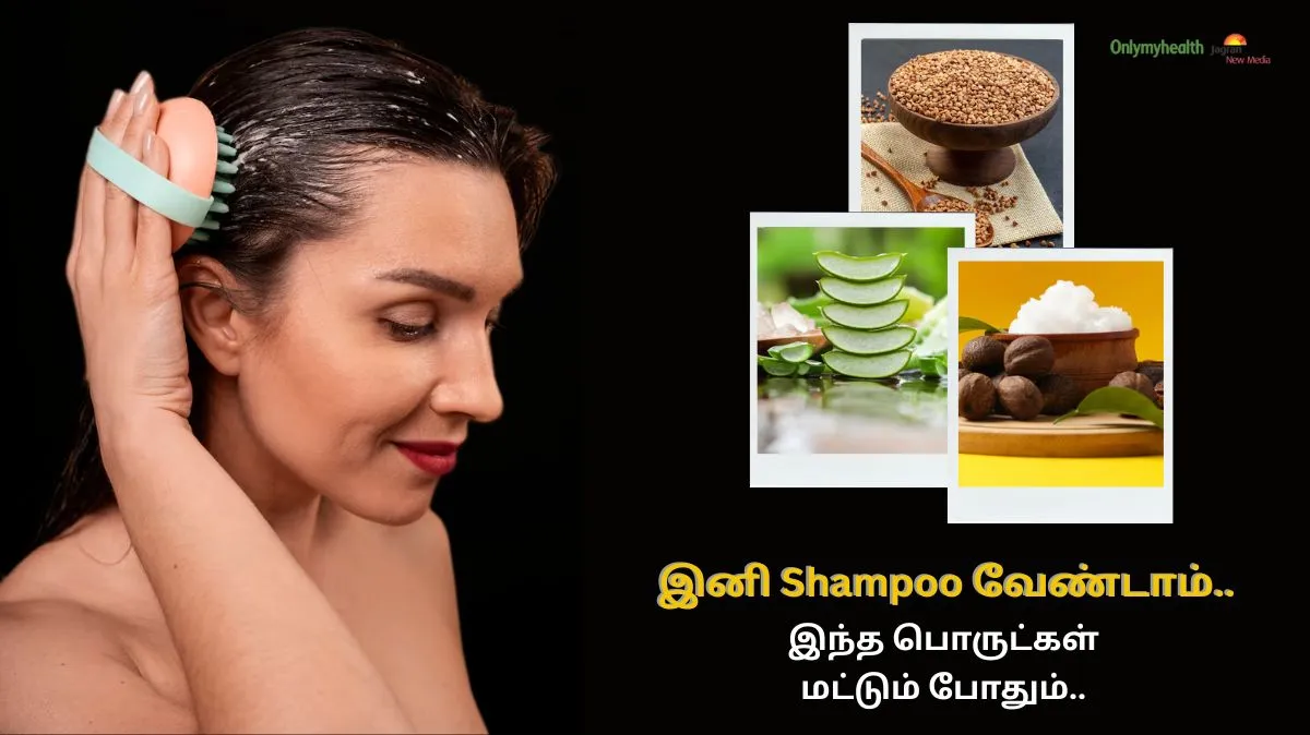 அடிபொலி.. இனி Shampoo வேண்டாம்.. வீட்டில் இருக்கும் இந்த பொருட்கள் மட்டும் போதும்..