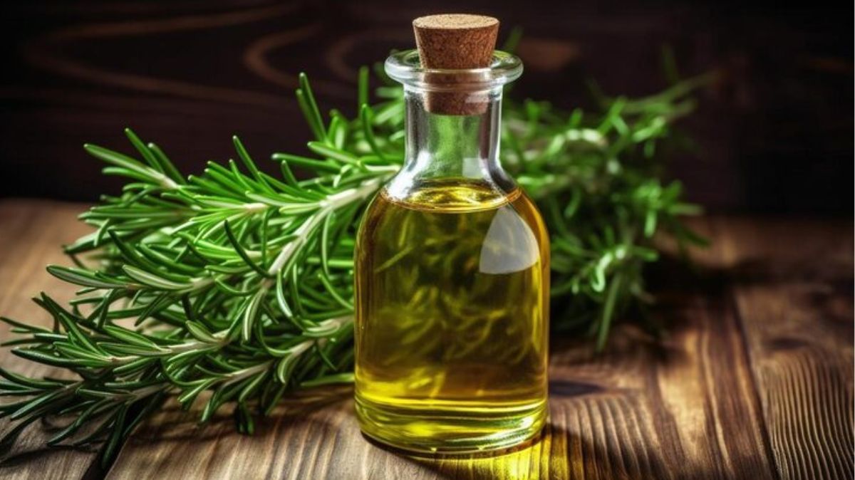 artical - 2025-08-11T015617.079