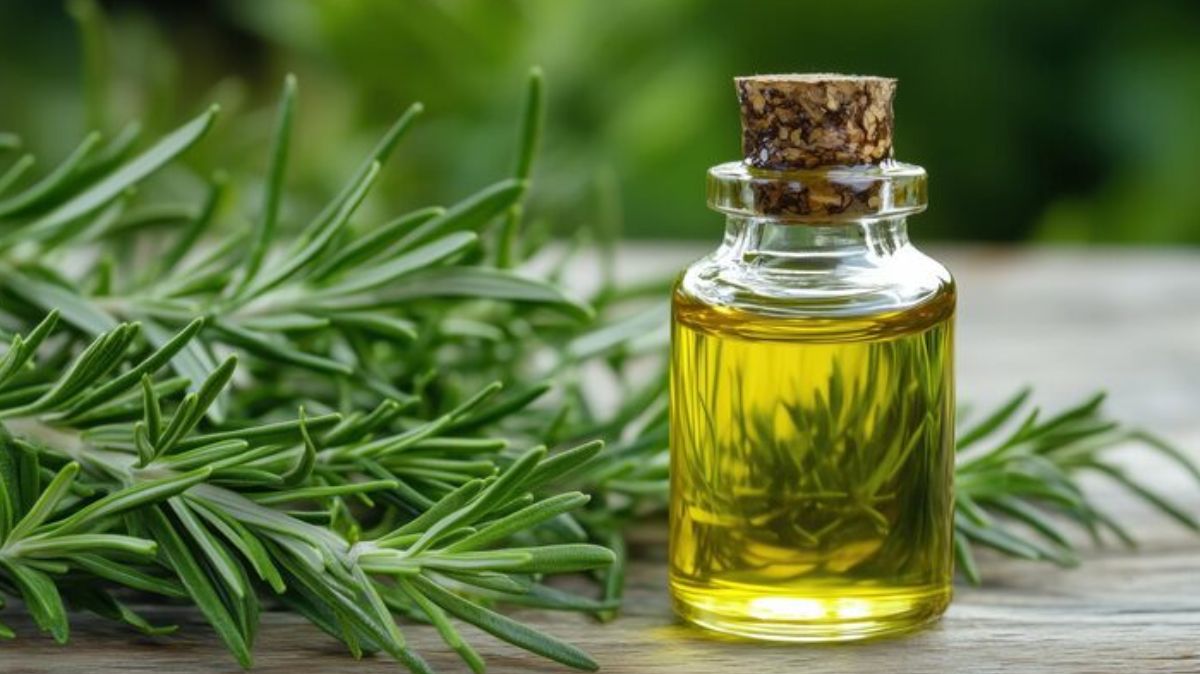 artical - 2025-08-11T015802.848