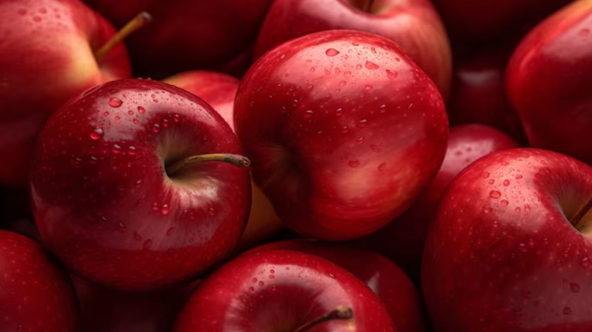 artical  - 2025-08-11T083815.057