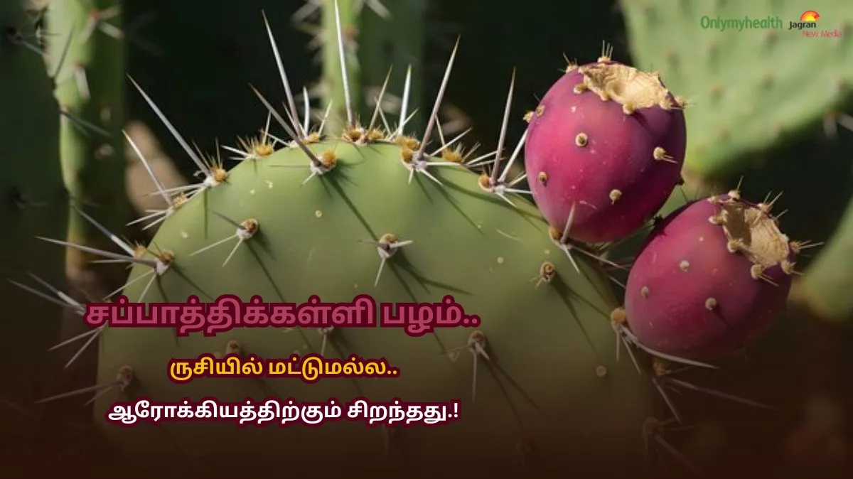 Wow.. சப்பாத்திக்கள்ளி பழம்.. ருசியில் மட்டுமல்ல.. ஆரோக்கியத்திற்கும் சிறந்தது.! நன்மைகள் இங்கே..