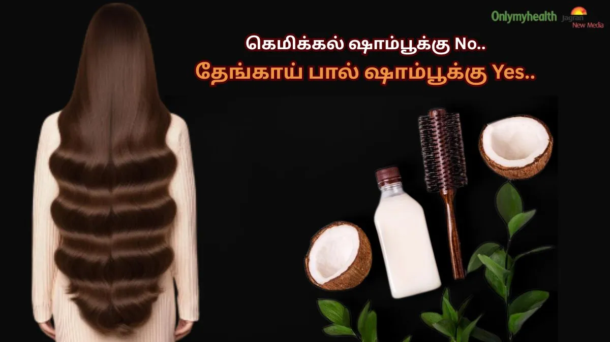 கெமிக்கல் ஷாம்பூக்கு No.. தேங்காய் பால் ஷாம்பூக்கு Yes.. நீளமான மற்றும் அடர்த்தியான முடிக்கு சிறந்த ரகசியம்!