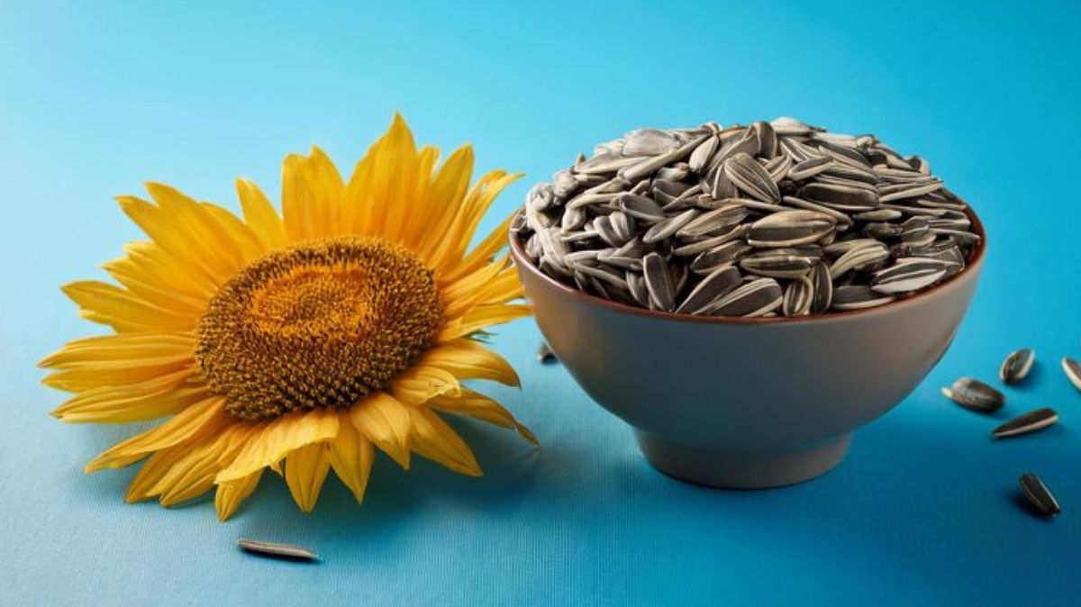 artical  - 2025-08-14T191902.539