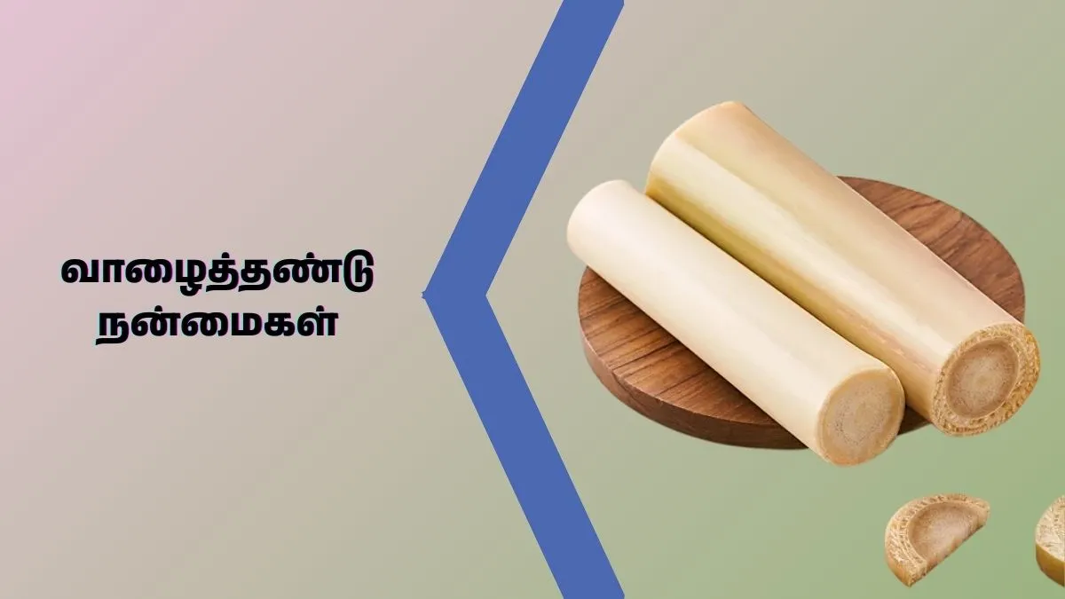 Vazhaithandu benefits: இது வெறும் தண்டு அல்ல. எக்கச்சக்க நன்மைகளை அள்ளிக் கொடுக்கும் வாழைத்தண்டு!