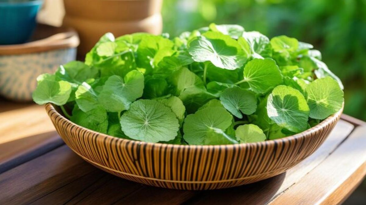 artical  - 2025-08-15T000818.167