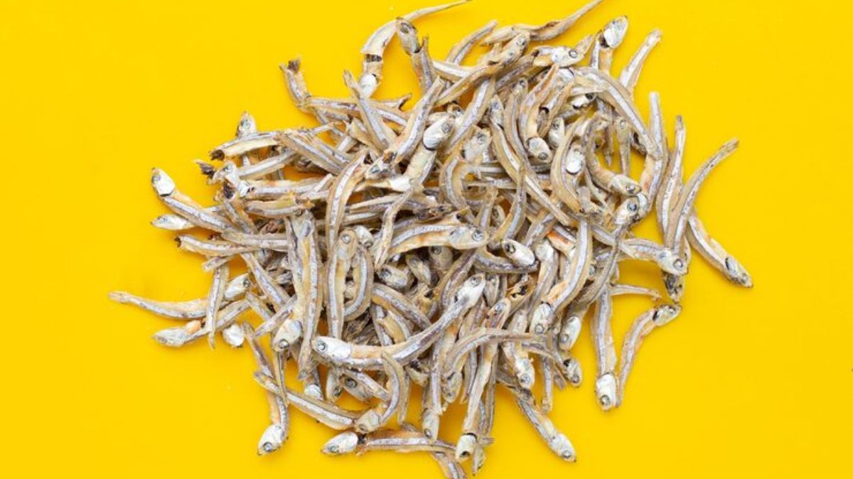 artical  - 2025-08-15T231407.616