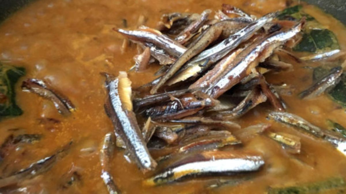 artical  - 2025-08-15T231925.317