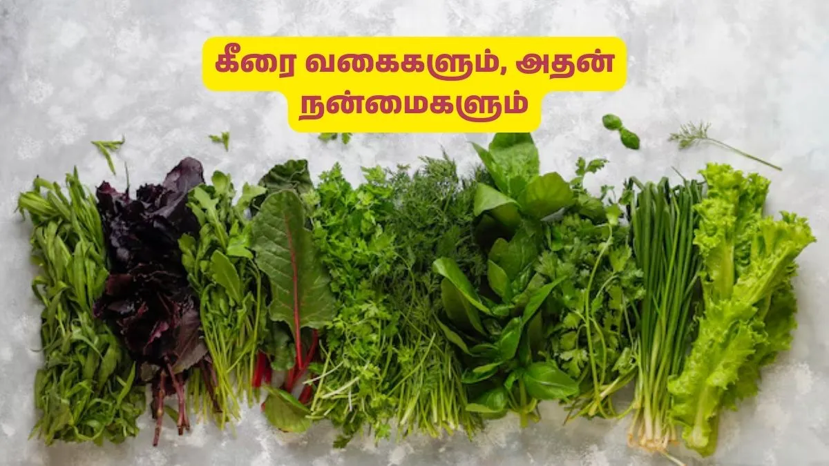 பல நன்மைகளை அள்ளித்தரும் கீரை வகைகள்! குறிப்பா இந்த கீரைகளை மிஸ் பண்ணீடாதீங்க மக்களே