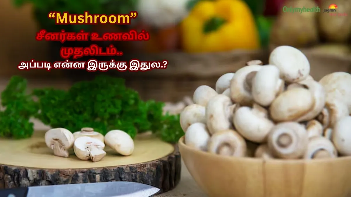 மஷ்ரூம் தினமும் சாப்பிடுங்க Buddy… mind, body, heart எல்லாம் strong ஆகிடும்! உடம்பே சொல்லும் Thanks!