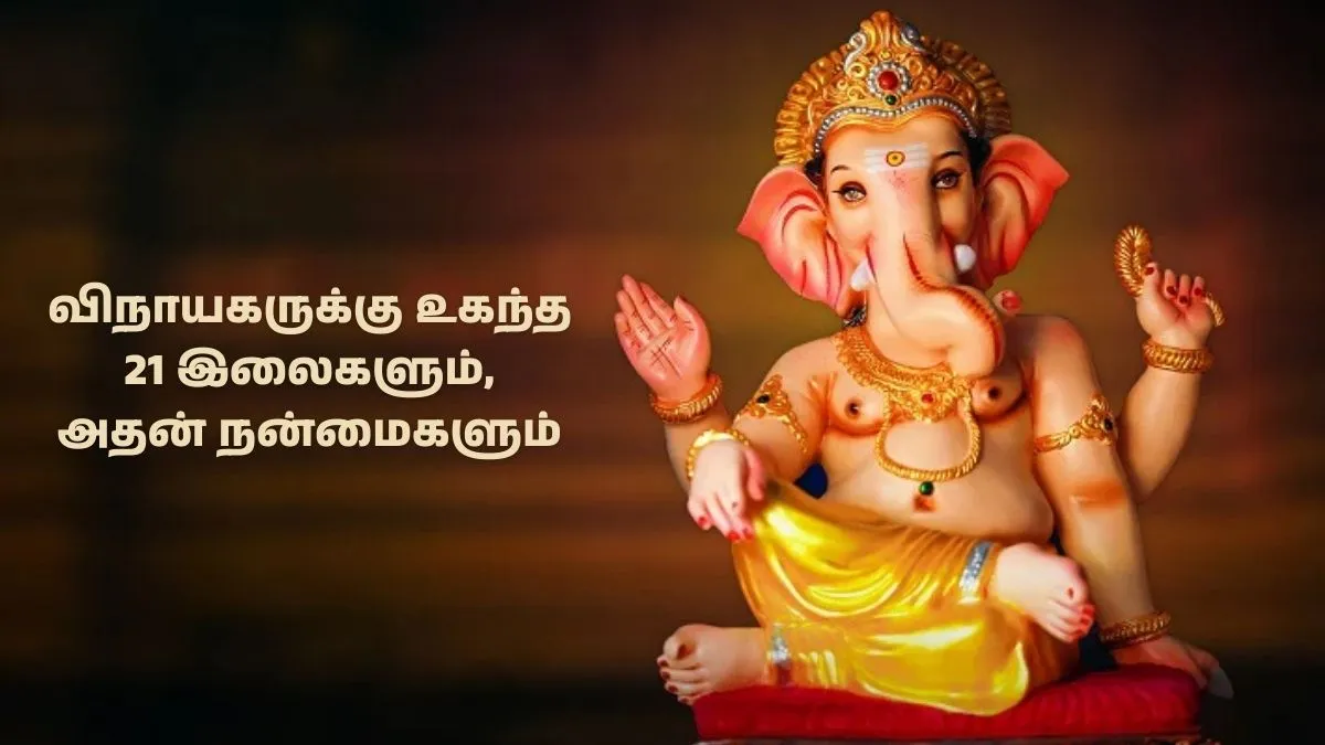 விநாயகர் சதுர்த்தி பூஜையில் வைக்க வேண்டிய 21 இலைகள்! அதுக்கு முன்னாடி அதன் நன்மைகளைத் தெரிஞ்சிக்கோங்க