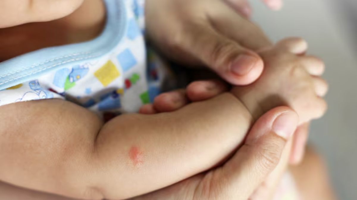 artical  - 2025-08-20T112458.331