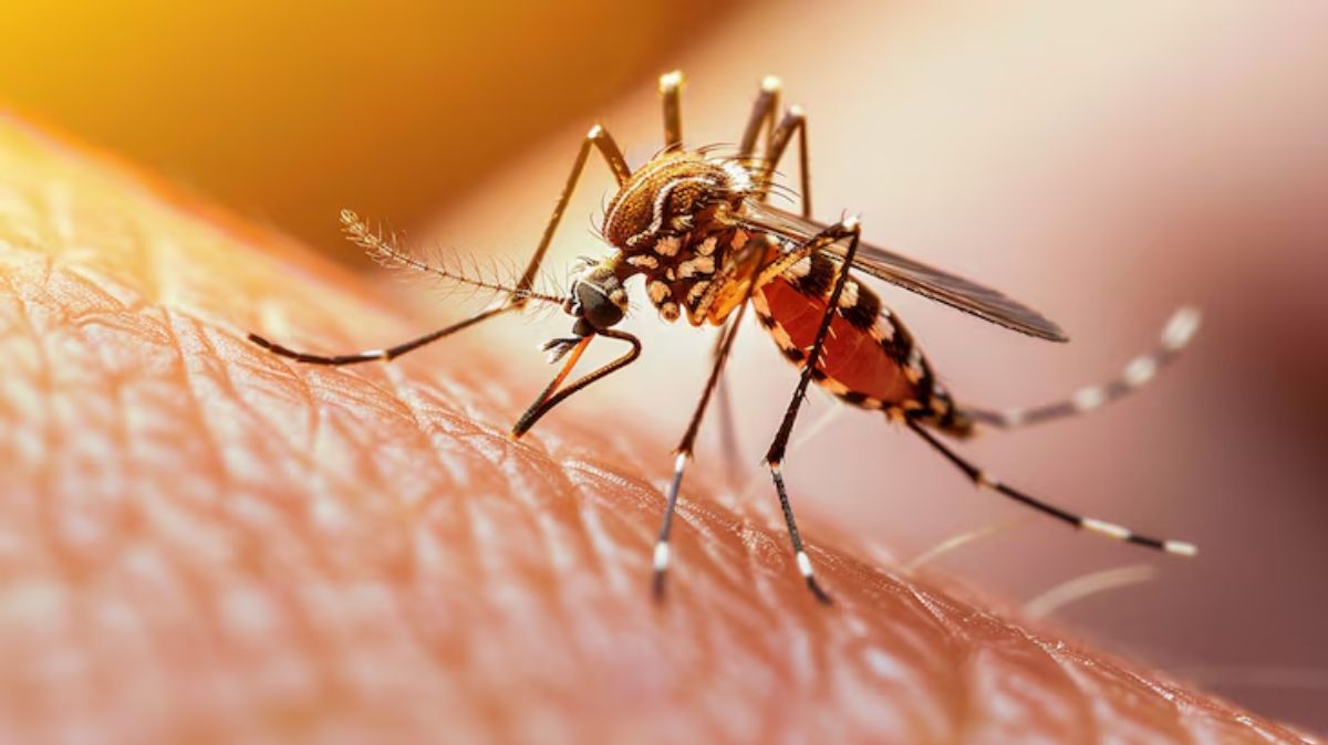 artical  - 2025-08-20T112616.856