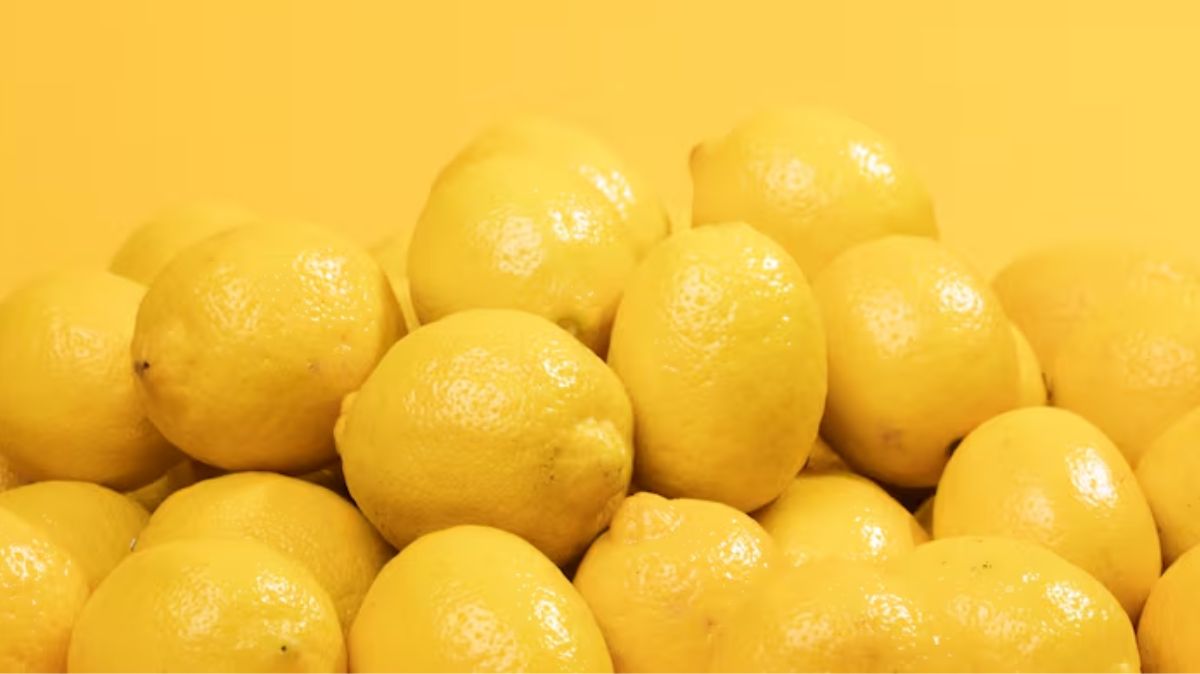 artical  - 2025-08-20T152938.736