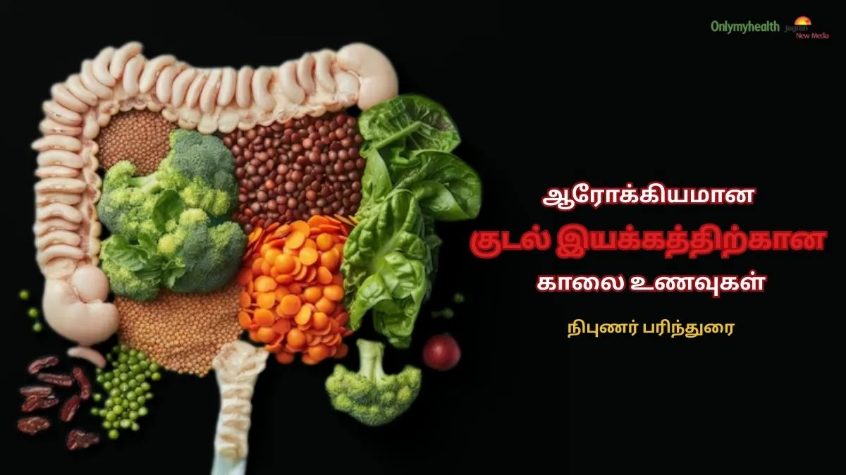 குடல் ஆரோக்கியத்துக்கு ஏற்ற 8 சிறந்த காலை உணவுகள் – AIIMS நிபுணர் பரிந்துரை