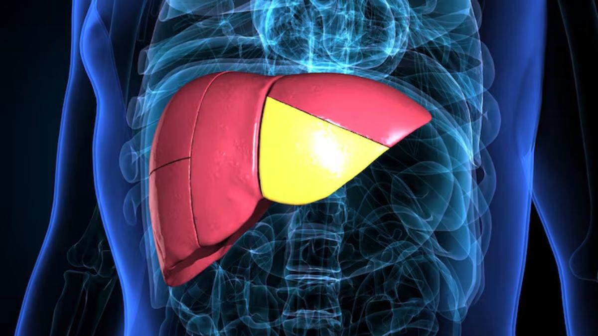 artical - 2025-08-23T114957.156