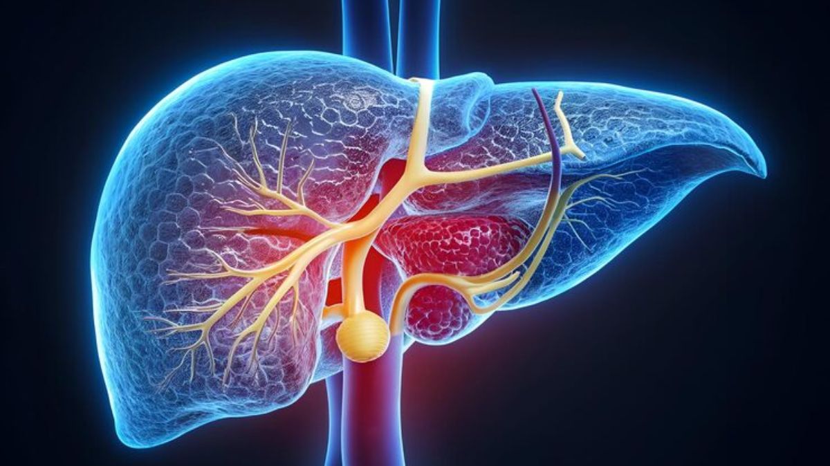 artical - 2025-08-23T120028.245