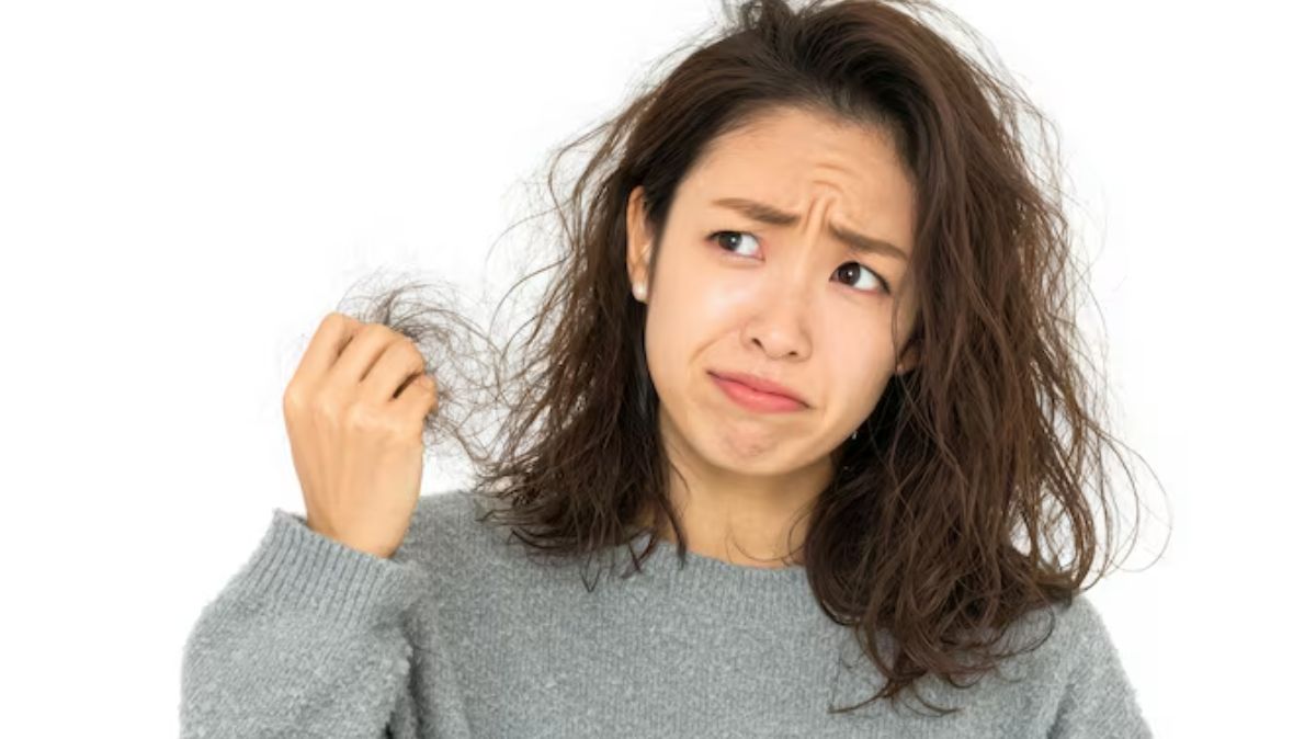 artical - 2025-08-23T143048.910