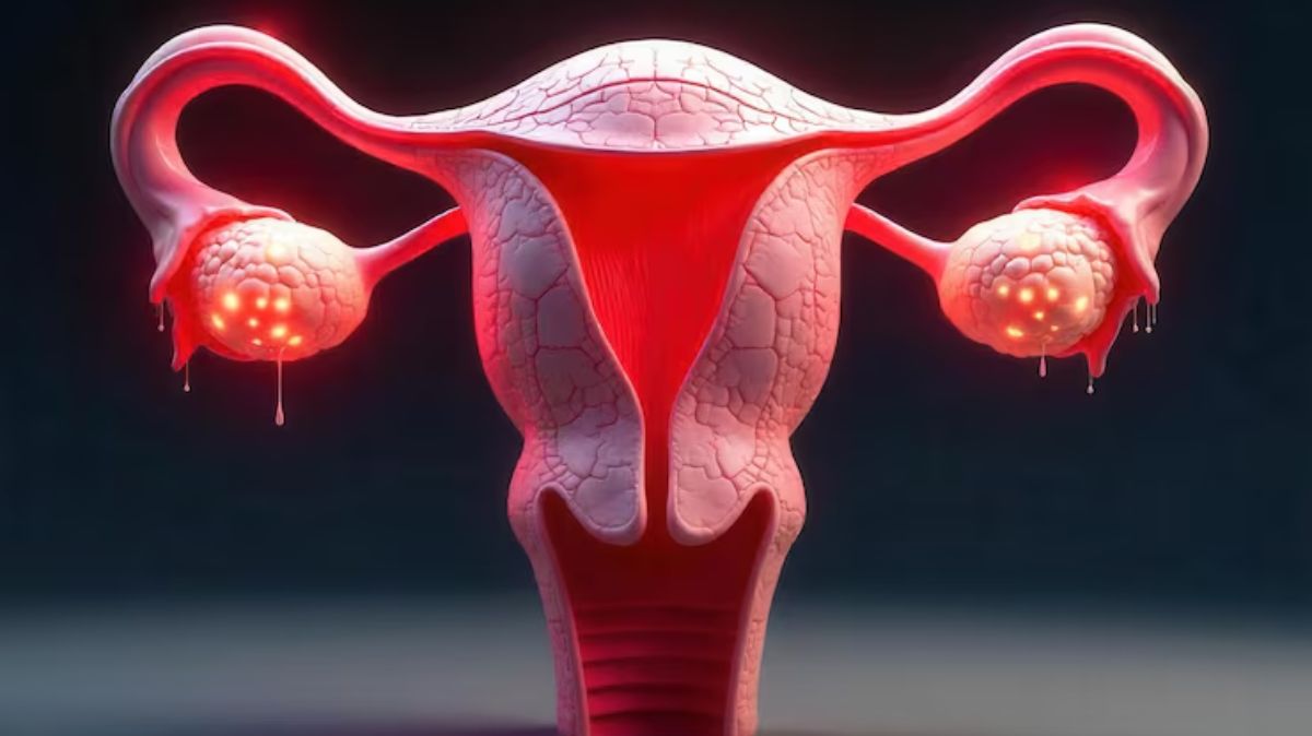 artical  - 2025-08-25T124738.527