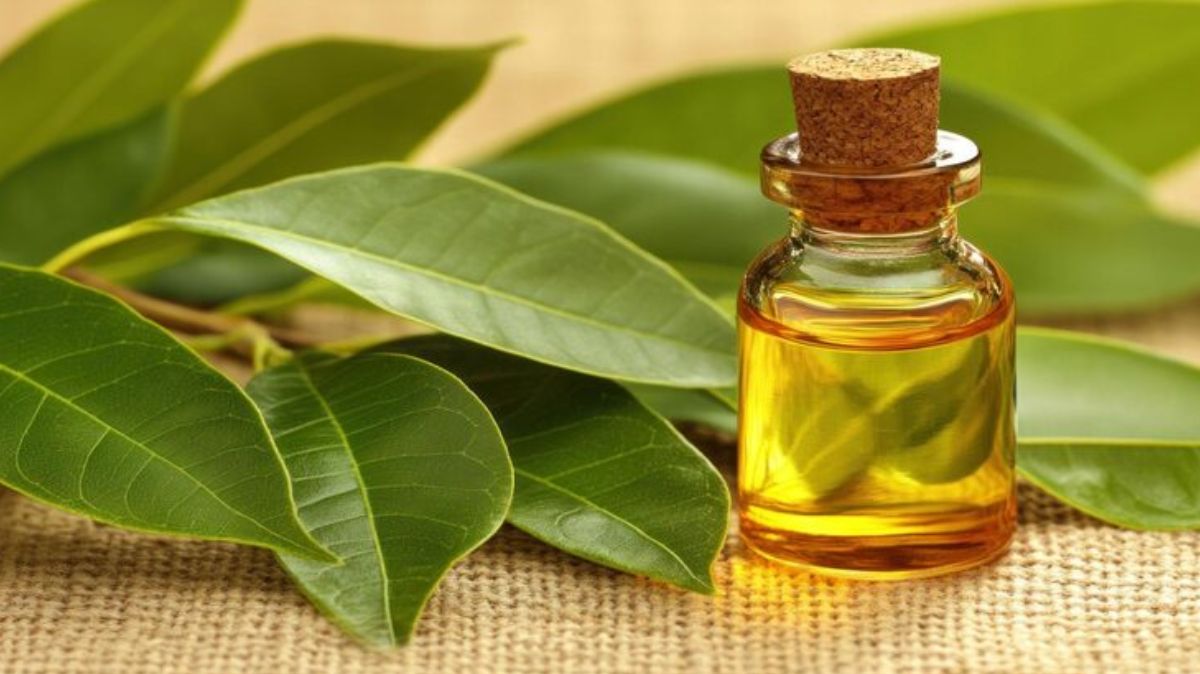 artical  - 2025-08-30T003940.363