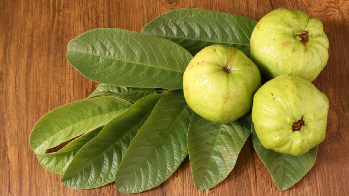 artical  - 2025-07-24T224656.917