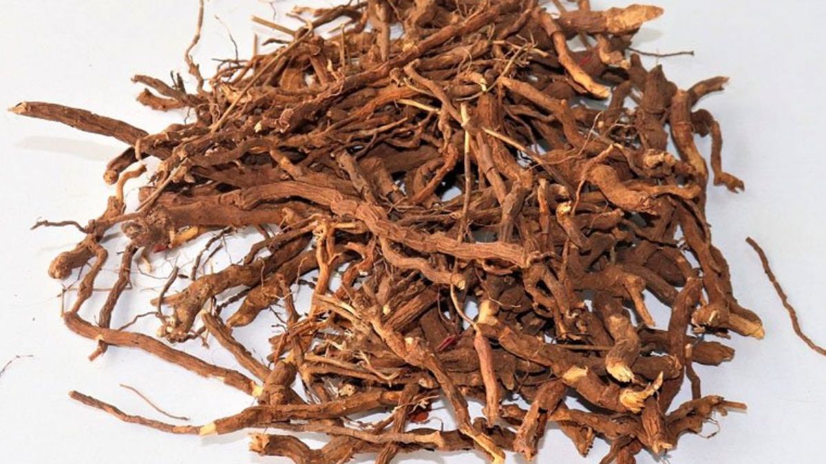 artical  - 2025-09-08T223623.848