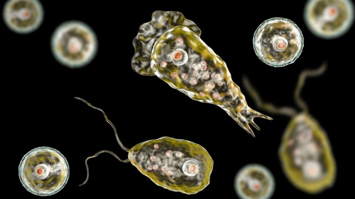 artical  - 2025-09-10T140733.363