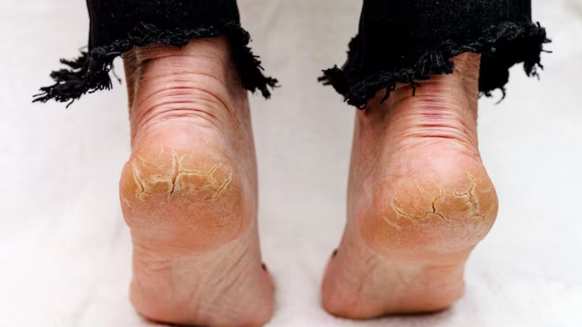 artical  - 2025-09-04T222120.104