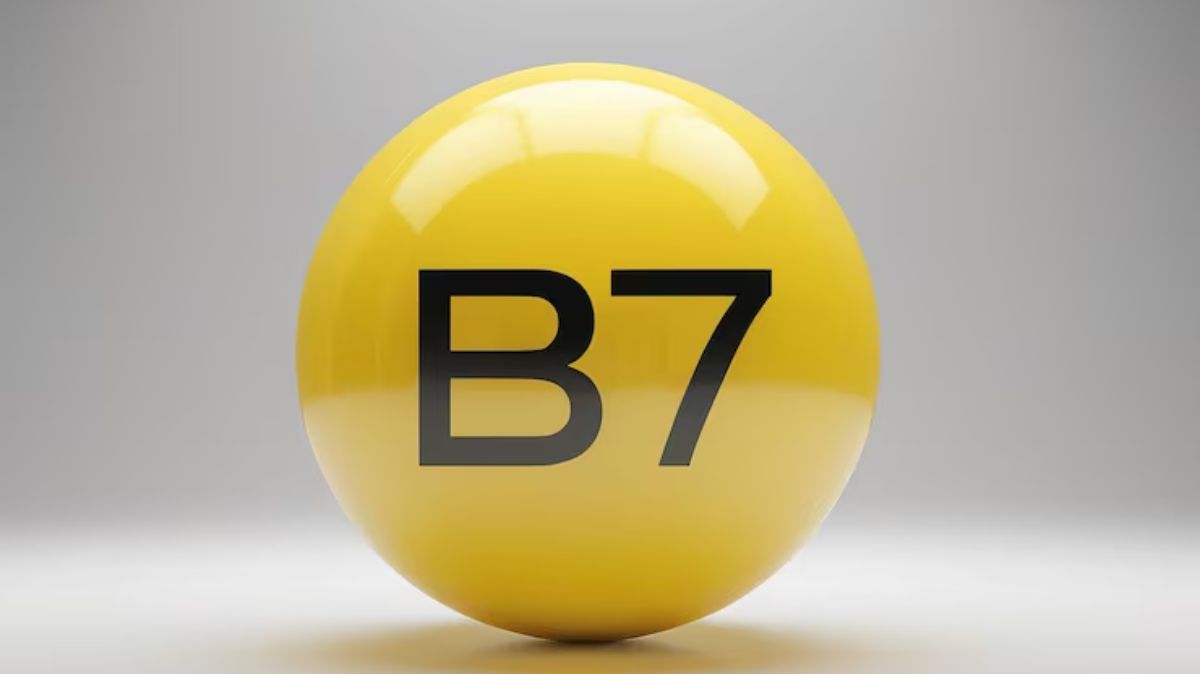 artical  - 2025-09-14T122342.070