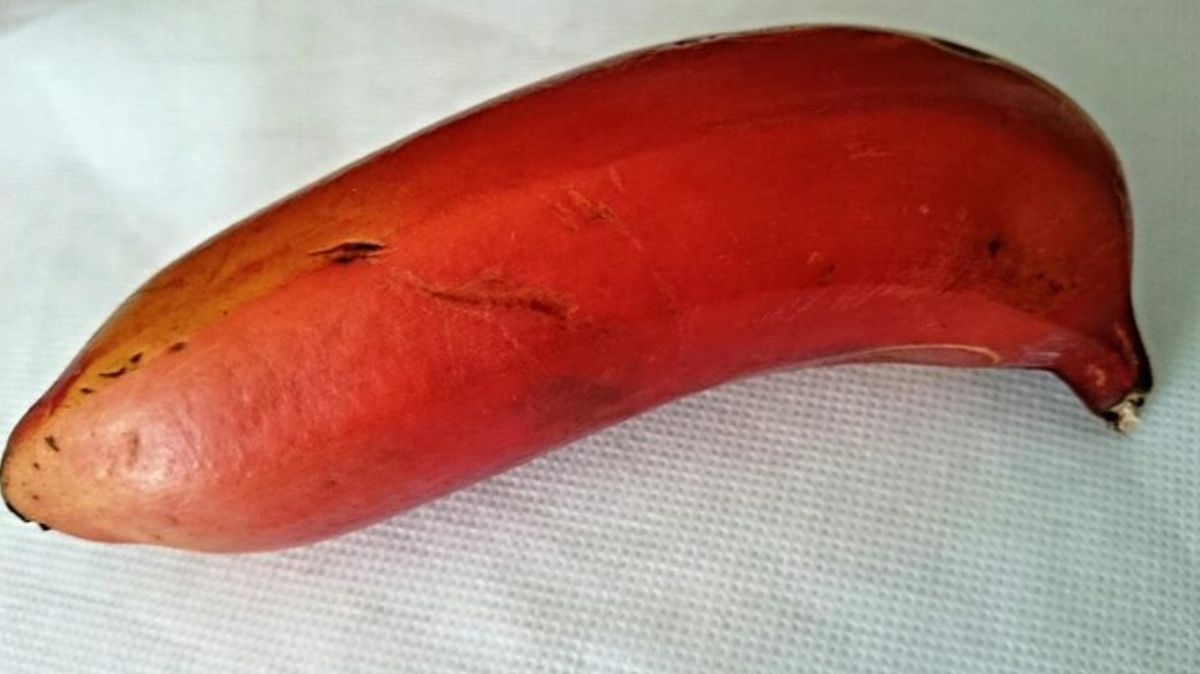 artical  - 2025-10-08T161025.632