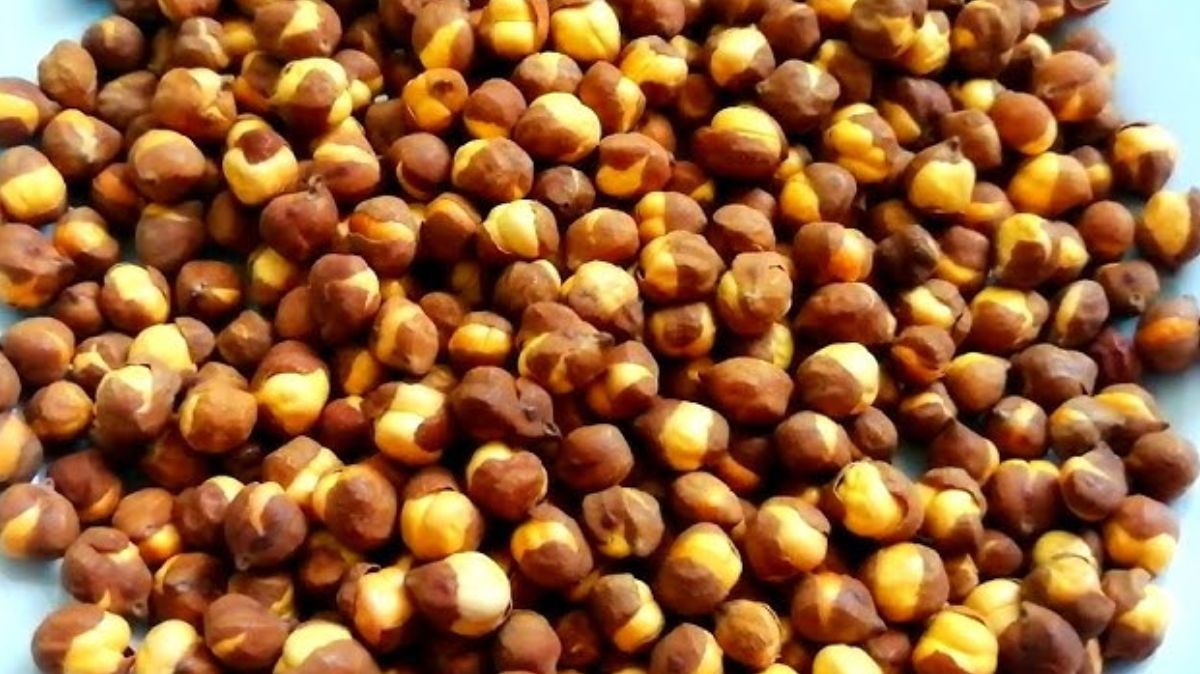 artical  - 2025-10-09T133715.052