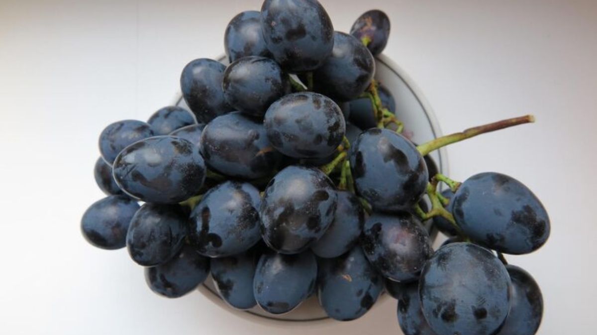 artical  - 2025-10-10T140432.732