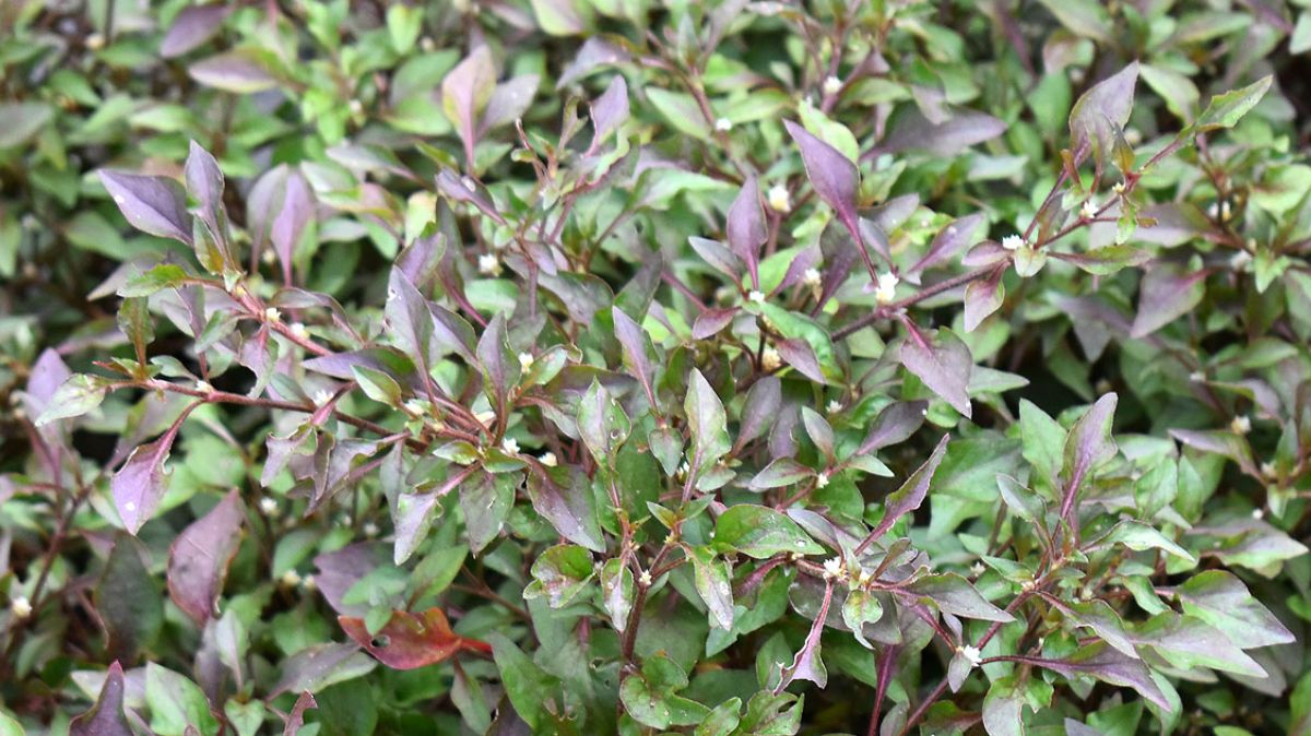 artical  - 2025-10-10T171501.627