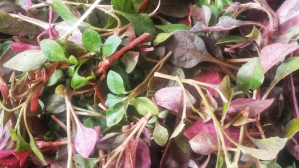 artical  - 2025-10-10T171626.560