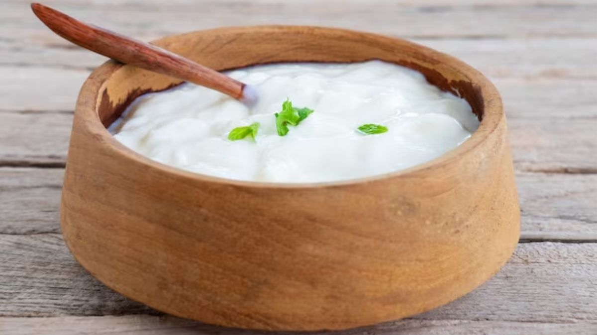 curd health benefits