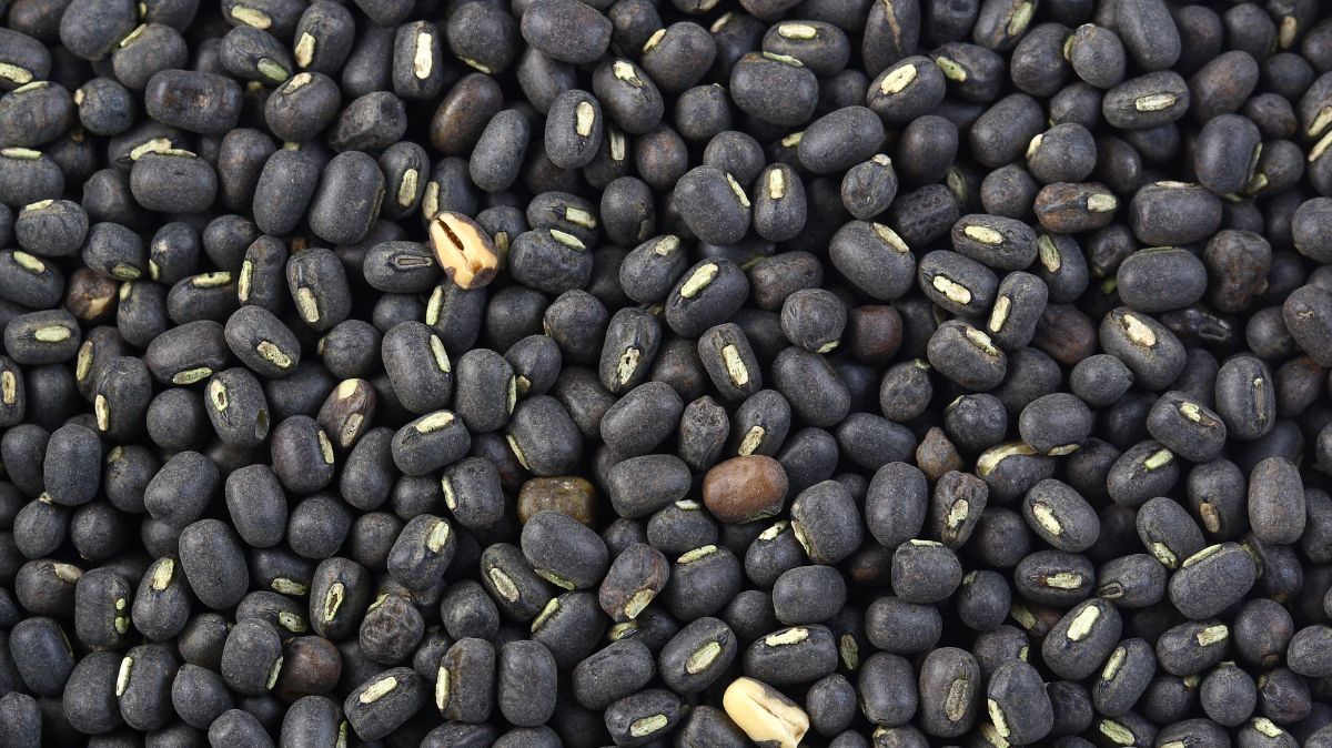 artical  - 2025-10-14T123940.594