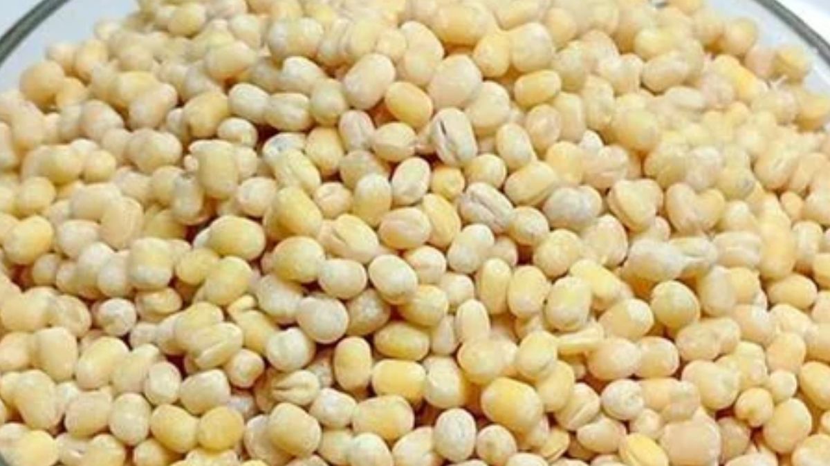 artical  - 2025-10-14T124015.884