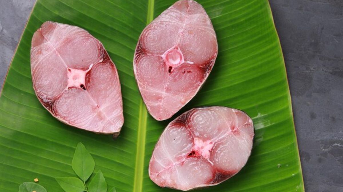 artical - 2025-10-17T115315.059